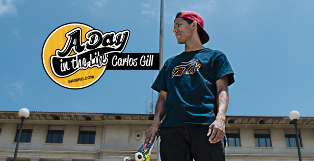 A day in the Life - Carlos Gill