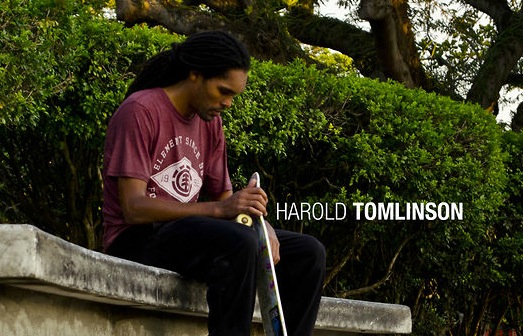 A day in the life - Harold Tomlinson